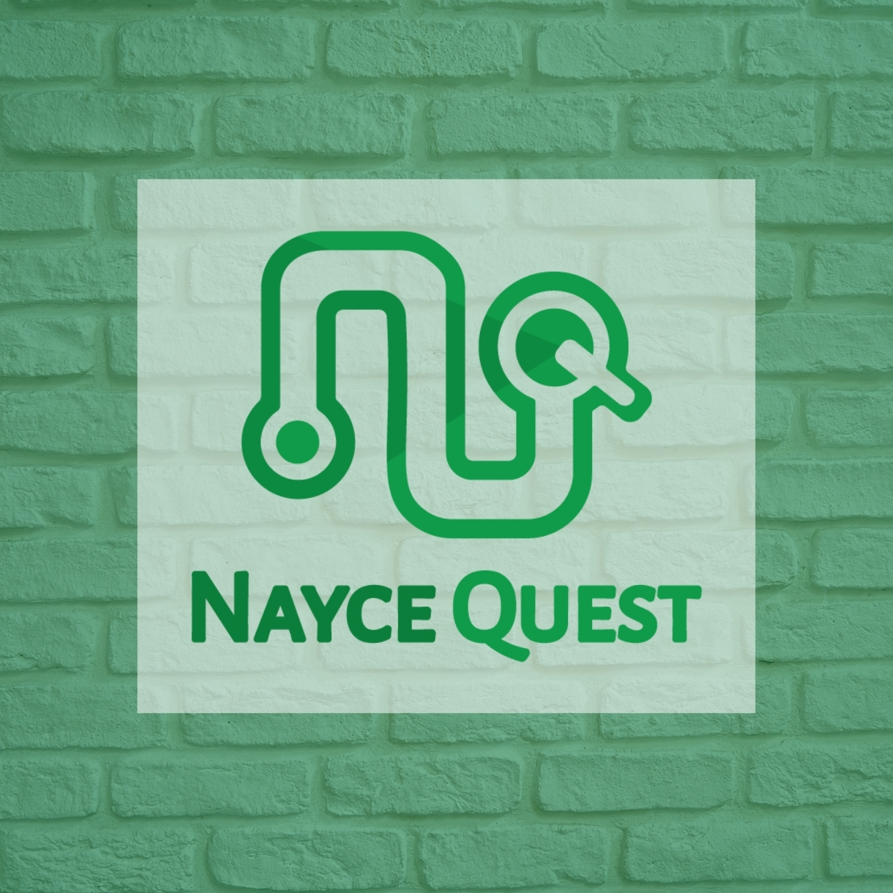 NayceQuest LLC about Diversity Certifications 