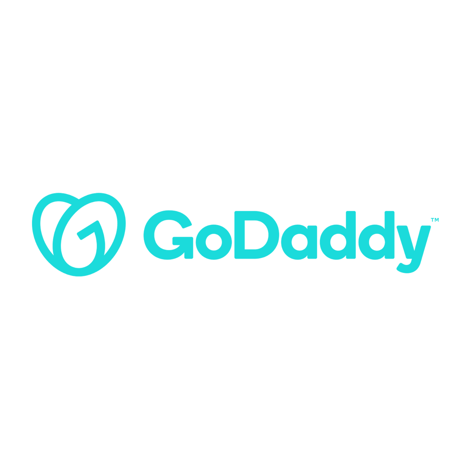 GoDaddy Logo Website png