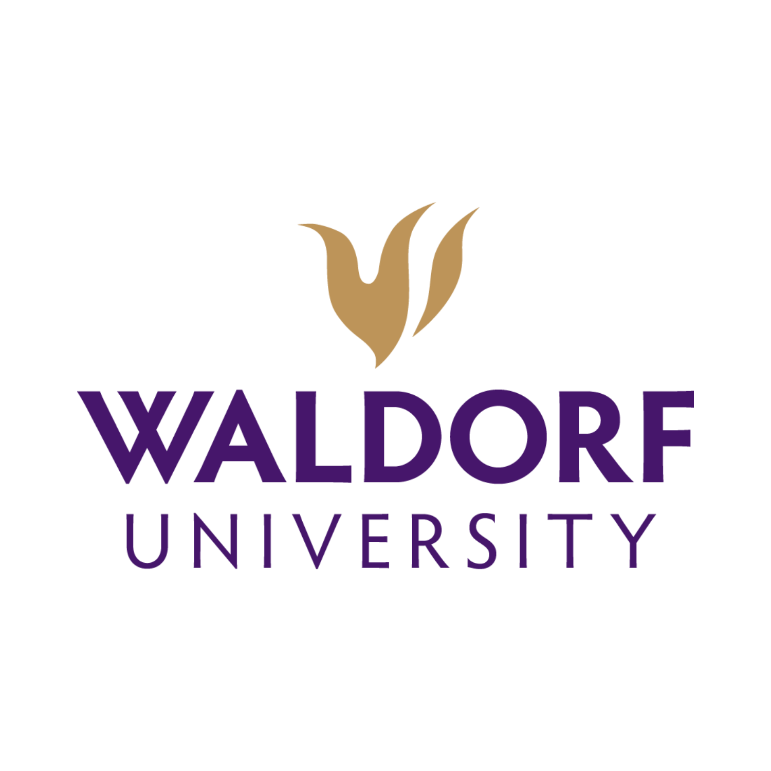 Waldorf University Military Spouse Chamber Discount