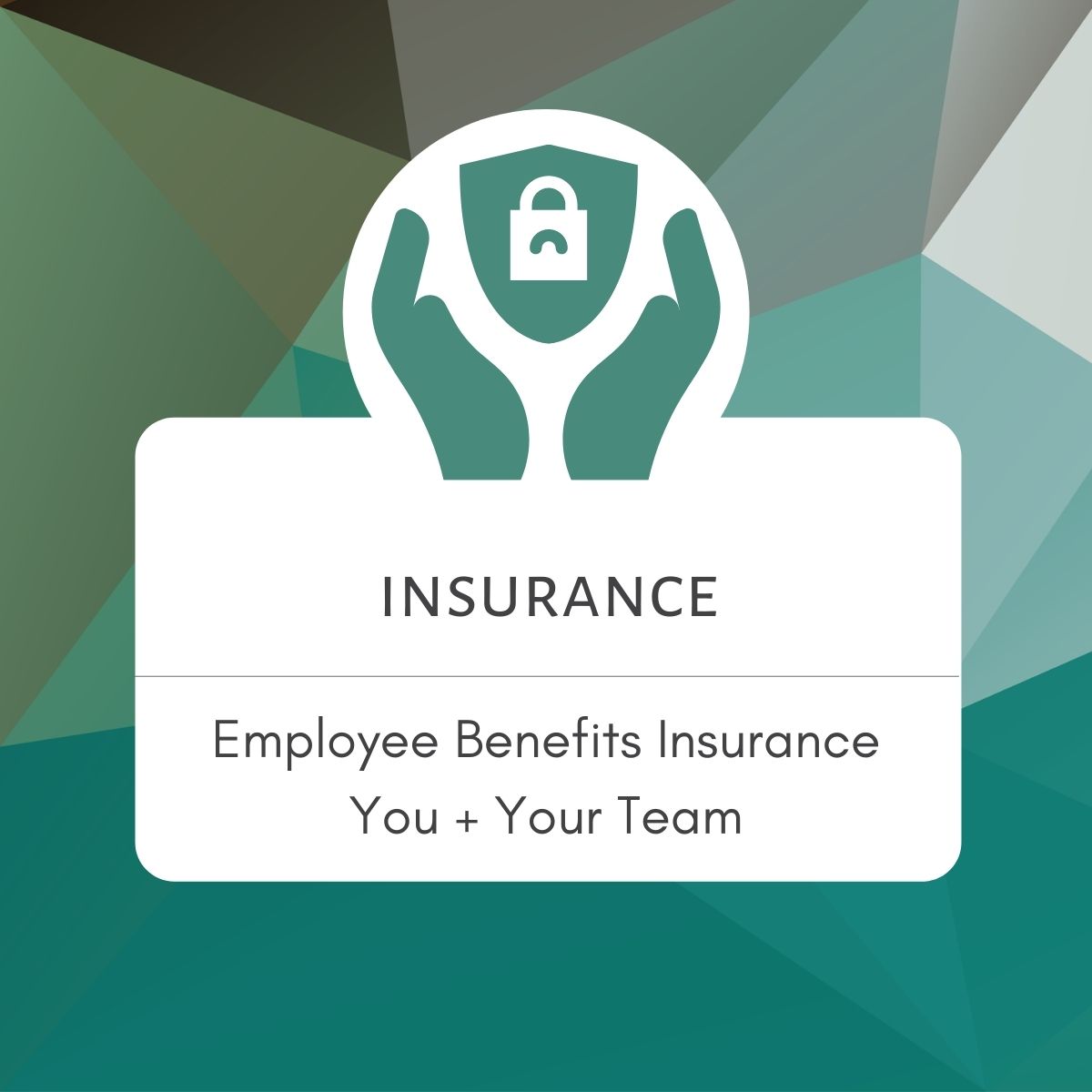 Military Spouse Chamber Insurance Employee Benefits