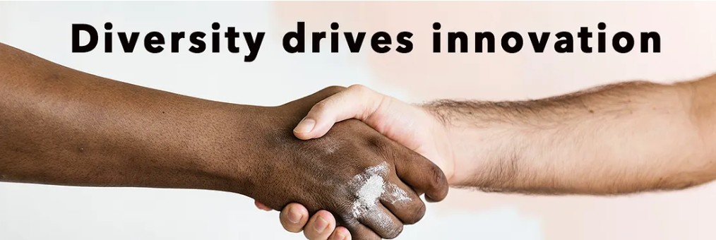 2023 Census Bureau Diversity Survey